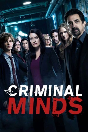 犯罪心理 第十三季 Criminal Minds Season 13 (2017) 中文字幕