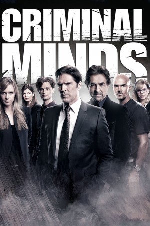 犯罪心理 第九季 Criminal Minds Season 9 (2013) 中文字幕