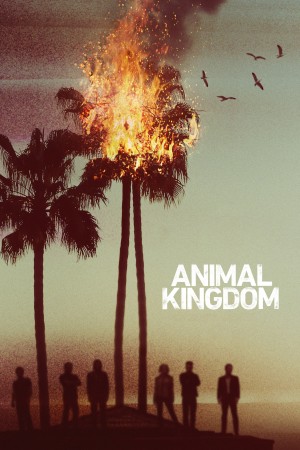 野兽家族 第一季 Animal Kingdom Season 1 (2016) 中文字幕