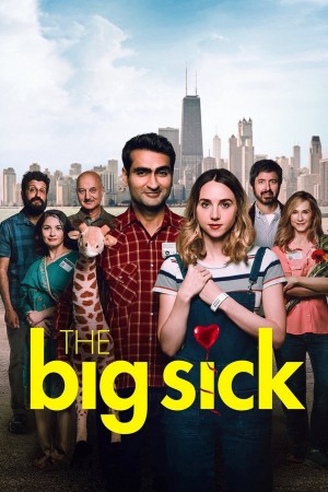 情人眼里巴基斯 The Big Sick (2017) 1080P