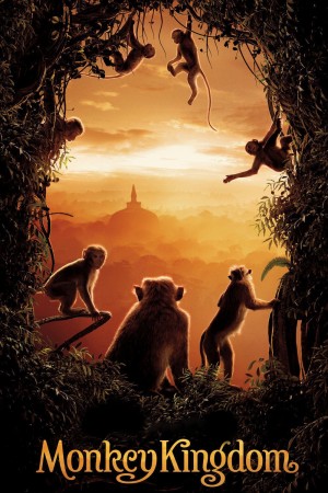 猴子王国 Monkey Kingdom (2015)