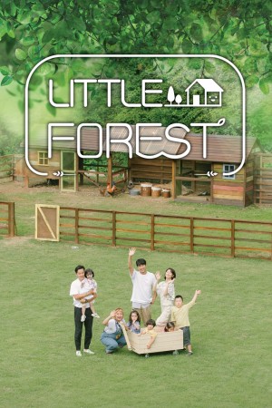 【韩剧】小森林 Little Forest (2019)