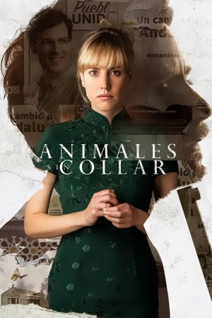 Animales sin collar (2018) 1080P