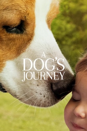 一条狗的使命2 A Dog's Journey (2019) 中文字幕