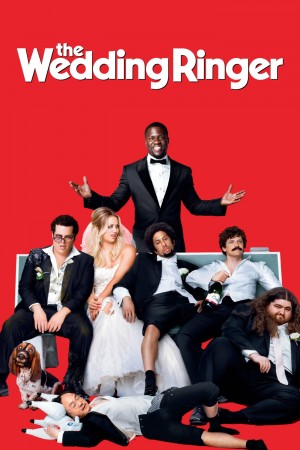 定制伴郎 The Wedding Ringer (2015) 720P