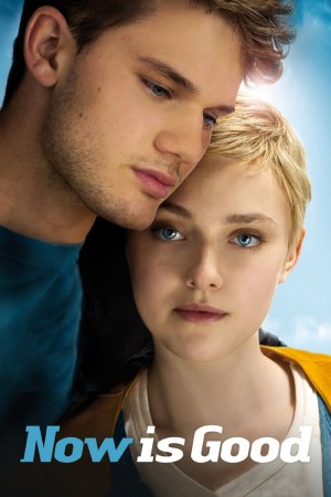 活在当下 Now Is Good (2012) 1080P