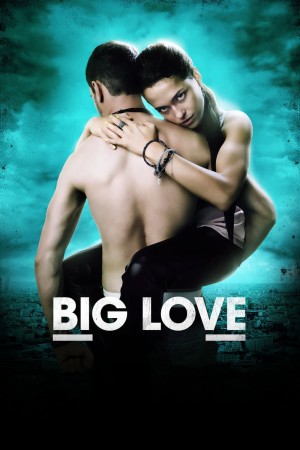 大爱 Big Love (2012)