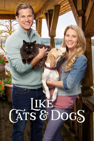 Like Cats & Dogs (2017) 1080P