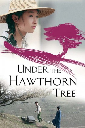 山楂树之恋 Under the Hawthorn Tree (2010) 1080P