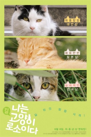 我是猫  I Am a Cat (2016) 1080P