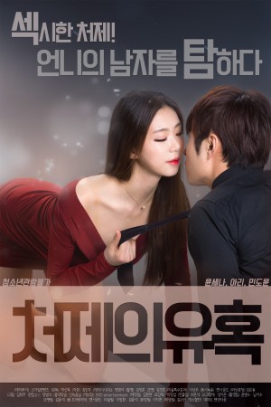 小姨子的诱惑 처제의유혹 (2017) 720P