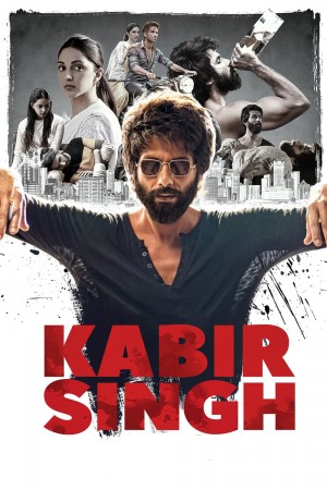 卡比尔辛格 Kabir Singh (2019) 中文字幕