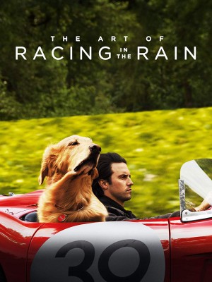 我在雨中等你 The Art of Racing in the Rain (2019) 1080P