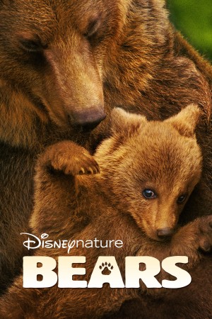 熊世界 Bears (2014) 1080P