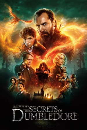 神奇动物：邓布利多之谜 Fantastic Beasts: The Secrets of Dumbledore (2022) 中文字幕