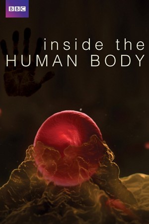 人體探秘 Inside the Human Body (2011)