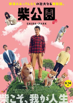 柴犬公园 Shiba Park (2019)  friDay中文字幕