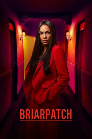 荆棘丛 Briarpatch (2020)