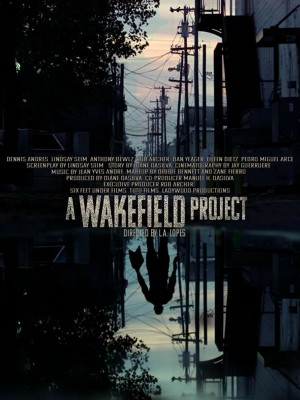 尾流场计划 A Wakefield Project (2019)