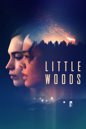 小森林 Little Woods (2018)