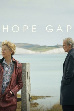 希望沟壑 Hope Gap (2019) 中文字幕