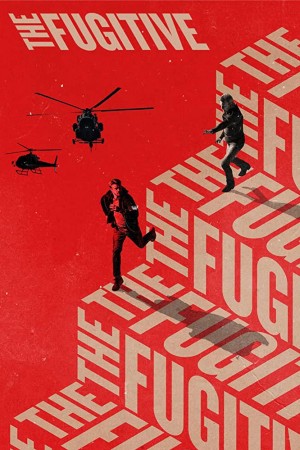 亡命天涯 The Fugitive (2020)