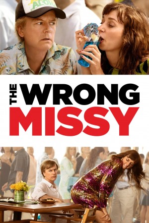 乌龙小姐 The Wrong Missy (2020) Netflix 中文字幕