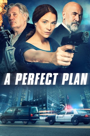 完美计划 A Perfect Plan (2020)