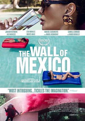 墨西哥围墙 The Wall of Mexico (2019)