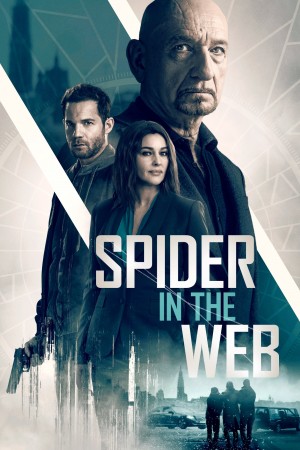 网中蜘蛛 Spider In The Web (2019) 中文字幕