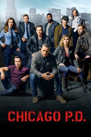 芝加哥警署 第三季 Chicago P.D. Season 3 (2015) 中文字幕