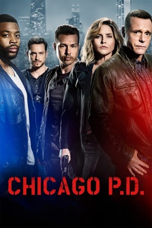 芝加哥警署 第四季 Chicago P.D. Season 4 (2016) 中文字幕