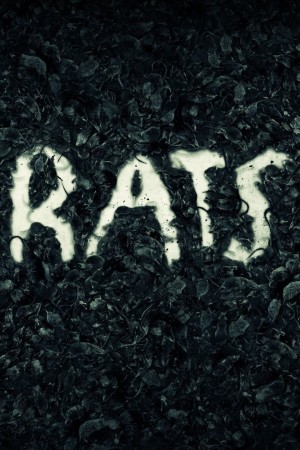 纽约鼠患 Rats (2016) Netflix 中文字幕