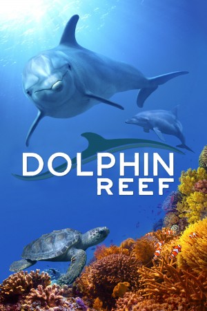 海豚礁 Dolphin Reef (2020) 中文字幕