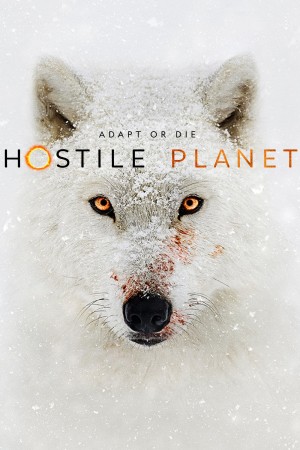 水深火热的星球 第一季 Hostile Planet Season 1 (2019) 中文字幕