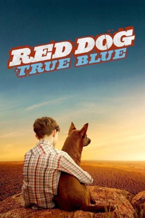 红犬历险记2：蓝犬 Red Dog: True Blue (2016) 中文字幕