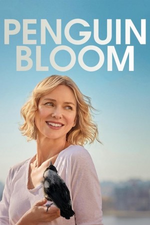 企鹅布鲁姆 Penguin Bloom (2020) Netflix 中文字幕