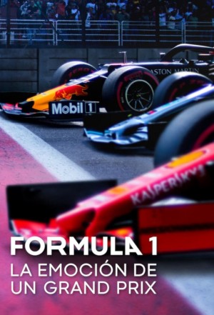 一级方程式：疾速争胜 第一季 Formula 1: Drive to Survive Season 1 (2019) 中文字幕