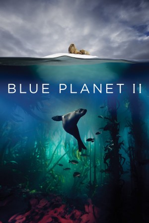 蓝色星球2 Blue Planet II (2017) 中文字幕