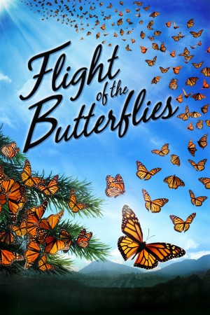 帝王蝶的迁徙 Flight of the Butterflies (2012) 中文字幕