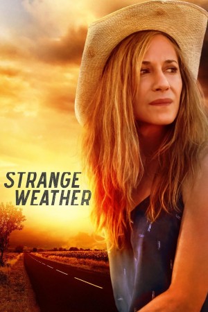 陌生的处境 Strange Weather (2016) Netflix 中文字幕