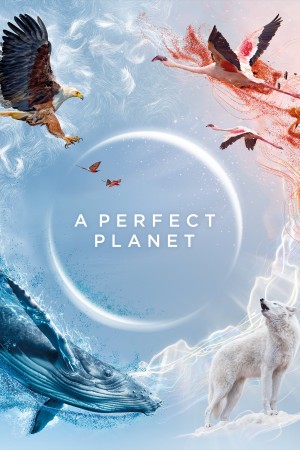 完美星球 A Perfect Planet (2021) 中文字幕