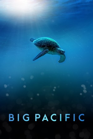 大太平洋  Big Pacific (2017) 中文字幕