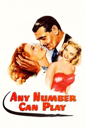 烟消去散 Any Number Can Play (1949) 中文字幕