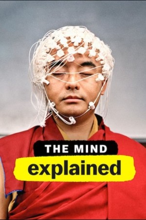 头脑解密 The Mind, Explained (2019) 中文字幕