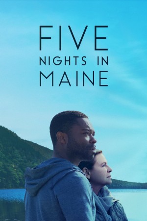 在缅因的五夜 Five Nights in Maine (2015)  Netflix 中文字幕