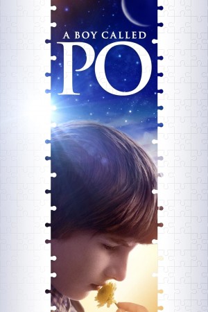 一个叫阿宝的男孩 A Boy Called Po (2016) 中文字幕