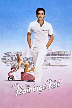 冲击 The Flamingo Kid (1984) 中文字幕