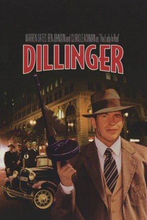 大盗龙虎榜 Dillinger (1973) 中文字幕