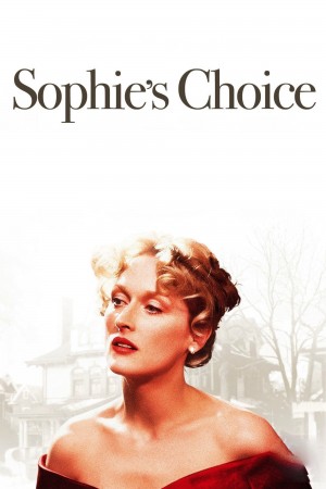 苏菲的抉择 Sophie's Choice (1982) 中文字幕